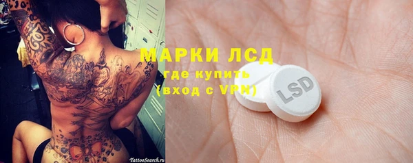 прущие грибы Арсеньев