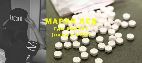 прущие грибы Арсеньев