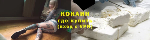 прущие грибы Арсеньев