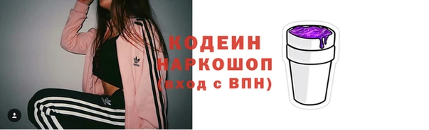прущие грибы Арсеньев