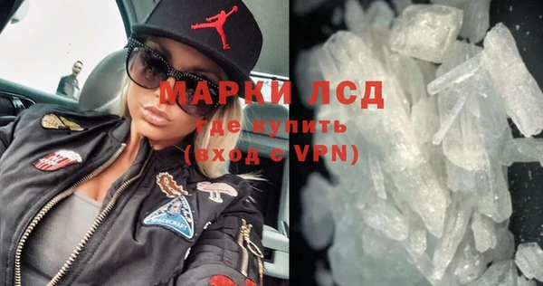 прущие грибы Армянск