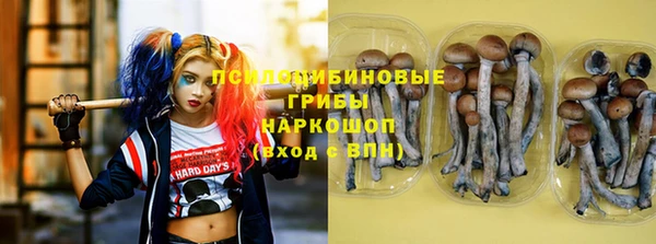 прущие грибы Армянск