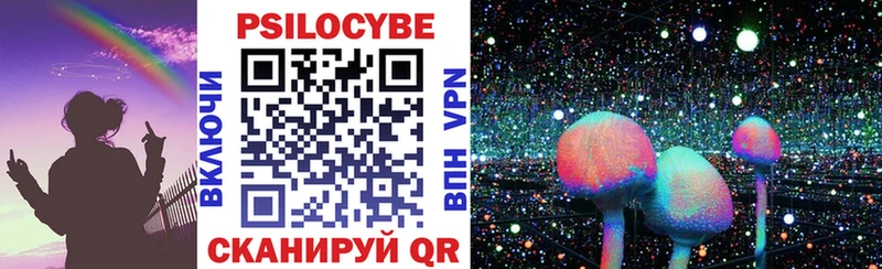 Псилоцибиновые грибы Psilocybine cubensis Мещовск